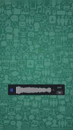 whatsapp áudio
