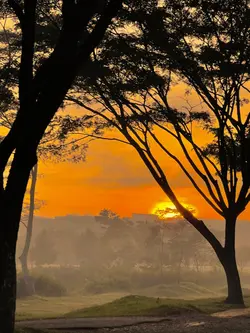 Filter senja