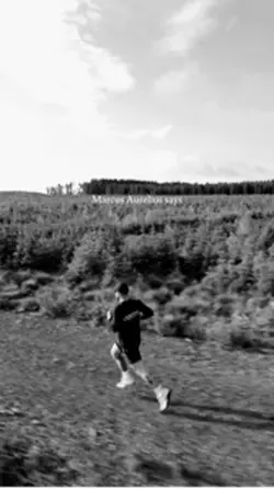Focus