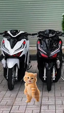 kicau mania