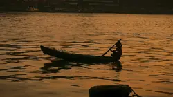 সোনা বরন পাখি রে আমার🕊️