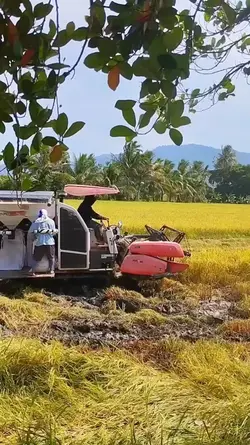 Harvester 