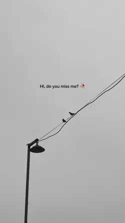 do u miss me? 