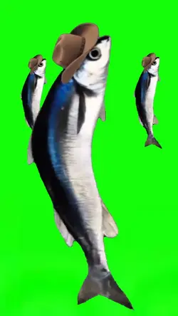 Spinning Fish