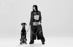 şimdi mi şimdi