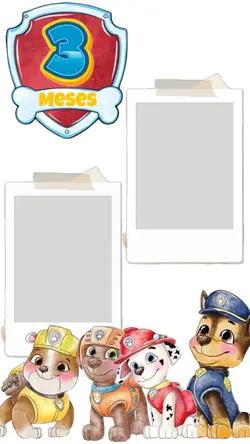 3Meses Pawpatrol