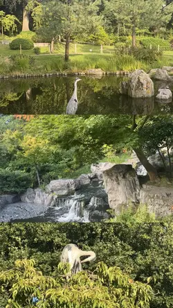 LANDSCAPES EDIT 
