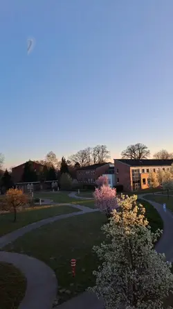 summer in Germany 