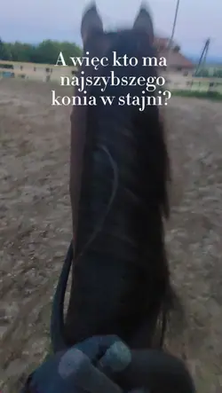 Skuter w mieście XD 