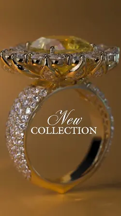 New Collection 