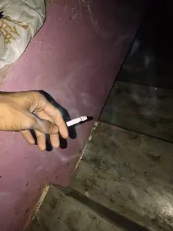 Bangla Song Trend