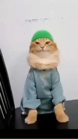Kedullah