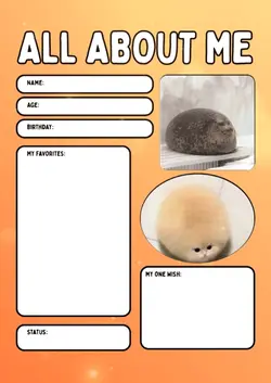 All About Me