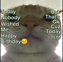 Nobody