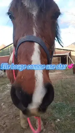 Ma star ✨
