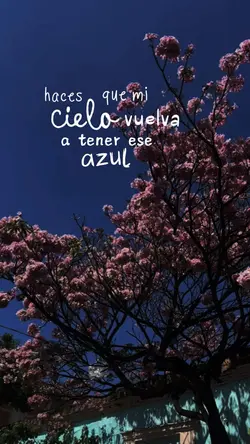 Solamente Tú