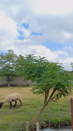 vlog FTV holiday