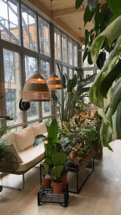 REALESTATE VIDEO