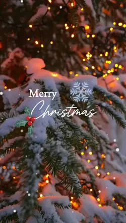 Merry Christmas!