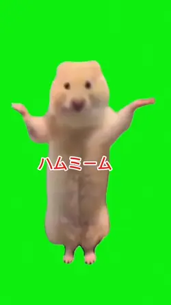 ハムスターミーム