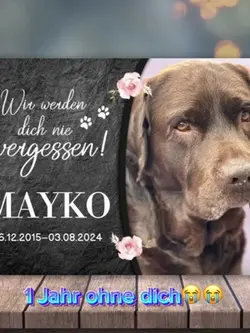 Hund Trauer love
