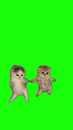 cats dancing meme