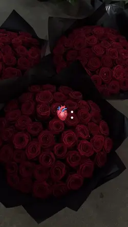 Red roses 🌹 