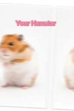 My hamster