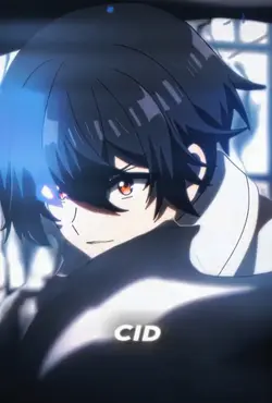 CID OR SHADOW? 
