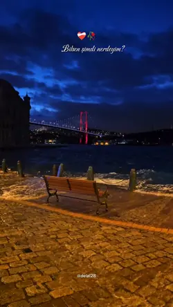 çılgın gecelerdeyim.