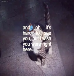 Song: love me not <3
