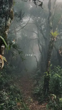 jungle