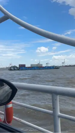 Mẫu video