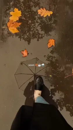 autumn leaves
