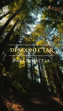Desconectar