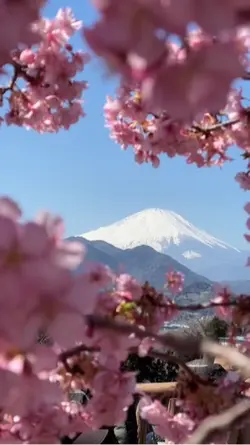 Budaya jepang