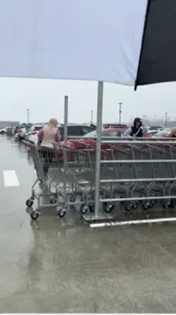 Costco Haul