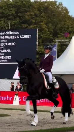SLOWMO | scr:Fine.eq