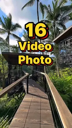 16 video or photo 