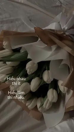 Cap hay + ảnh