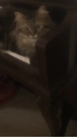Dana playing piano