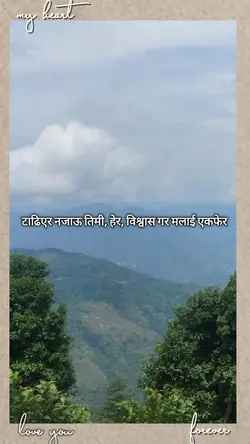 Tadiyera najau timi.