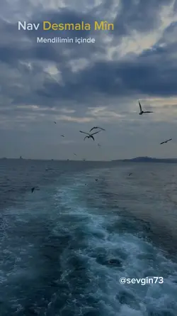 kesfetlik şablon 