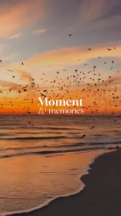 moment to memories 