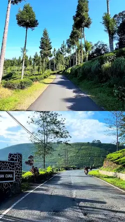 2 video 1 layout