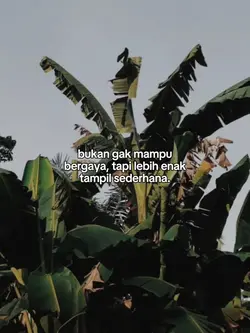 tampil sederhana