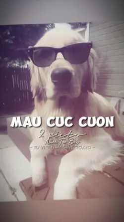 2 ẢNH GIẬT GIẬT CHÁY