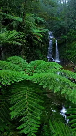 nature vibes estetic