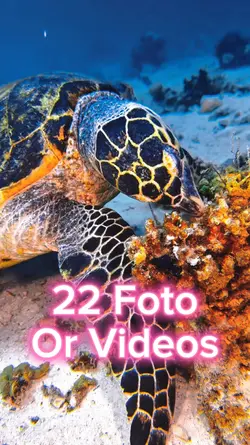 22 Foto Slide