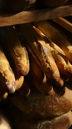 Bread production🥖